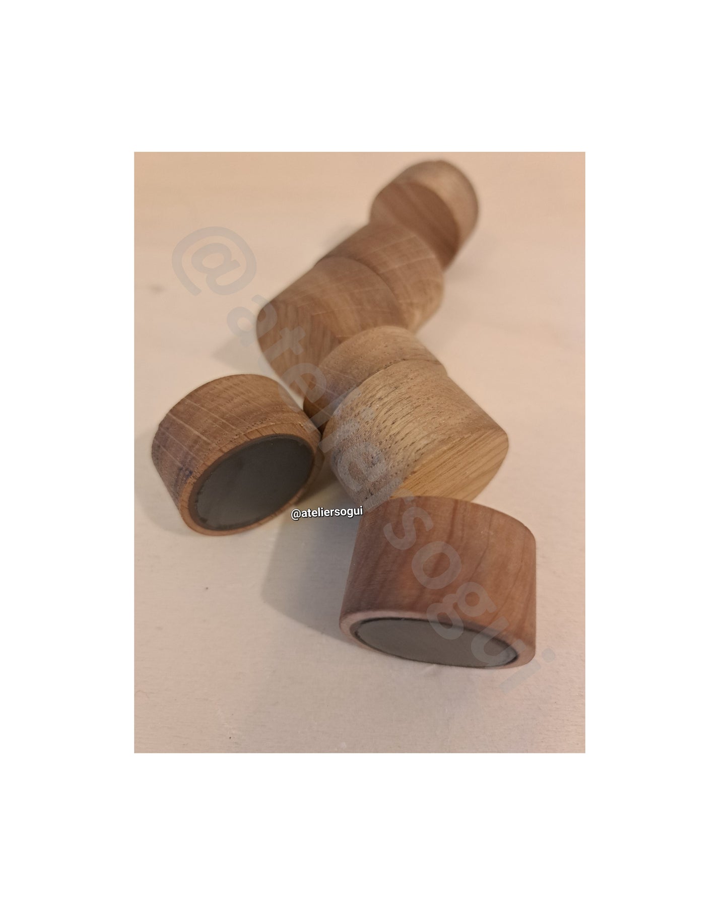 Lot de 6 punaises aimantées en bois massif